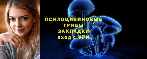 крисы Вяземский