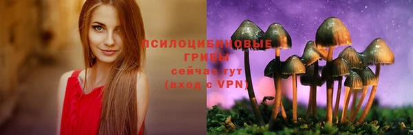 стафф Волоколамск