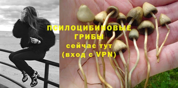крисы Вяземский