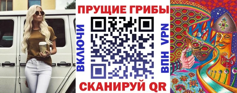 наркотики  Каменногорск  площадка официальный сайт  Галлюциногенные грибы Psilocybine cubensis 